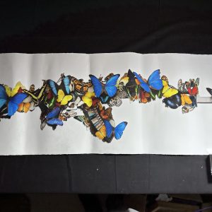 Bran Sydmonson's Beat of a Wing AK47 Limited Edition Print