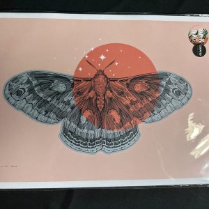 Aimee Mac Illustrations A3 Moth