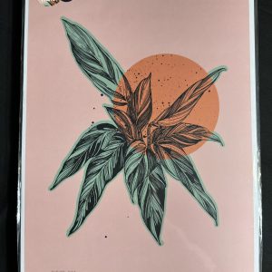 Aimee Mac Illustrations A3 Calathea Print