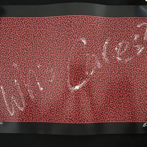 Who Cares Limited Edition Print by Foka Wolf. (4)