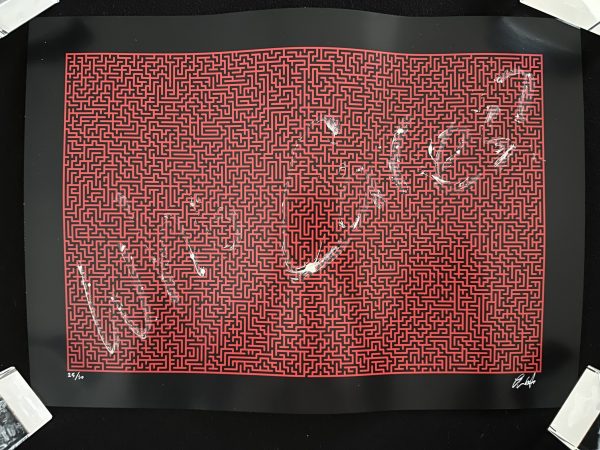 Who Cares Limited Edition Print by Foka Wolf. (4)