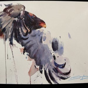 Tom Shepherd Watercolour, Bird of Prey. (21)