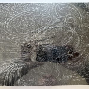 LIBERTY REALM BY CATHY WARD