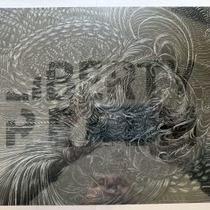 LIBERTY REALM BY CATHY WARD