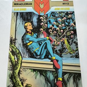 MIRACLE MAN #13 NOVEMBER 1987